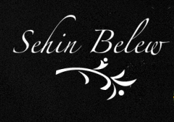 Sehin Belew Logo 